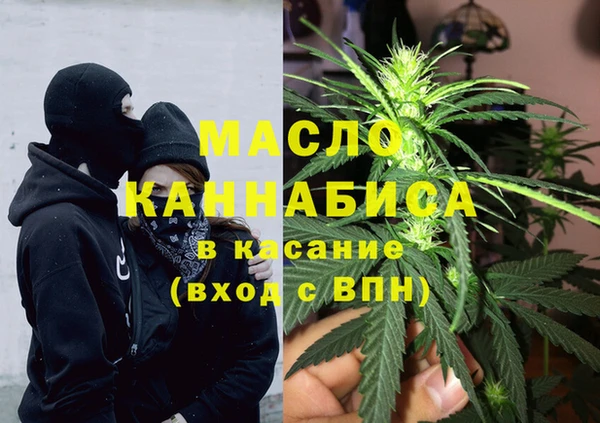 твердый Инсар