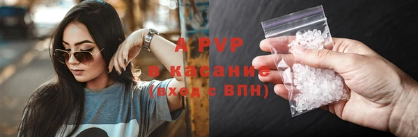 твердый Инсар