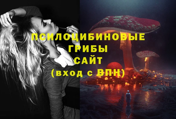 эйфоретик Инта