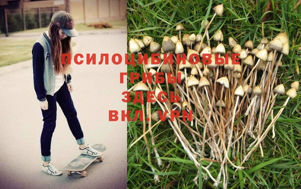 эйфоретик Инта