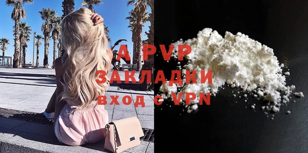 эйфоретик Инта