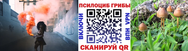 Галлюциногенные грибы MAGIC MUSHROOMS  Купить где  Богородск 